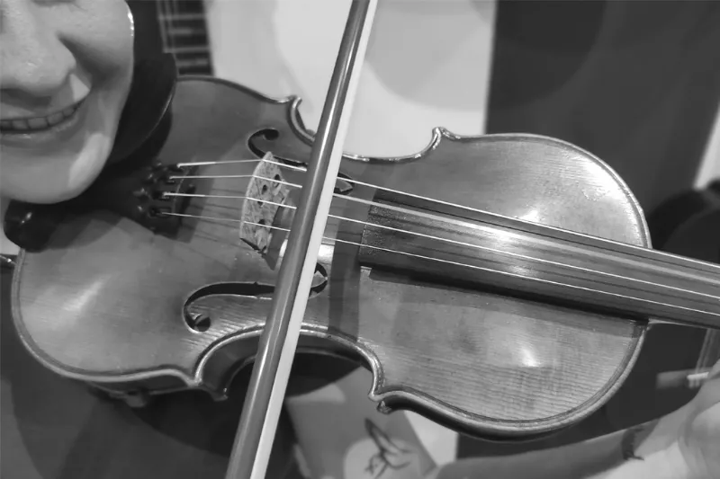 violin